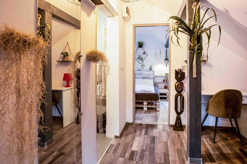The Greenhouse Skyparlor In The Heart Of Apartment Timisoara