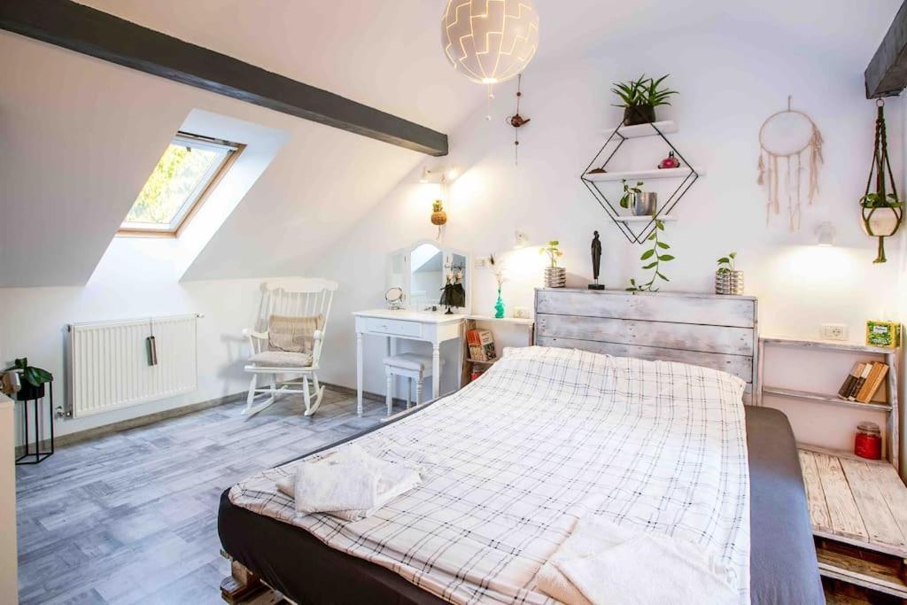 Apartment The Greenhouse Skyparlor In The Heart Of Timisoara