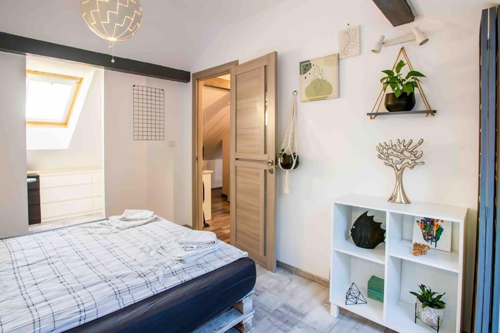 The Greenhouse Skyparlor In The Heart Of Timisoara